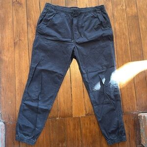 American Eagle Trekker Jogger LT